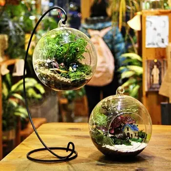 Прозрачно цвете подвесная ваза с топки, Терариум, съд borosilicate стъкло за засаждане сукуленти, Микроландшафтная на околната среда бутилка